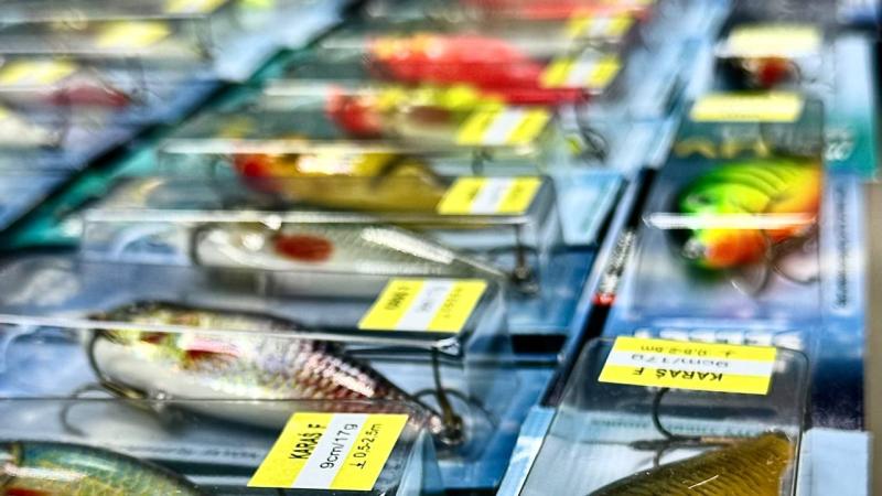 Поступление воблеров JAXON — магазин DLF-FISHING.BY.