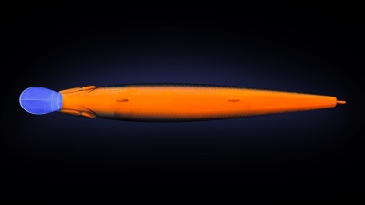 Воблер Strike Pro Inquisitor 130SP 26,5 гр, 1,0м.-2,0м., 612T Natural Shad Silver