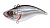 Воблер  Тонущий Раттлин Strike Pro Flap Jack 6,5 см 13,6 гр EG-128B#A010T-EP