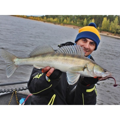 Виброхвосты съедобные искусственные LJ Pro Series MINNOW 05.60/S13 10шт.
